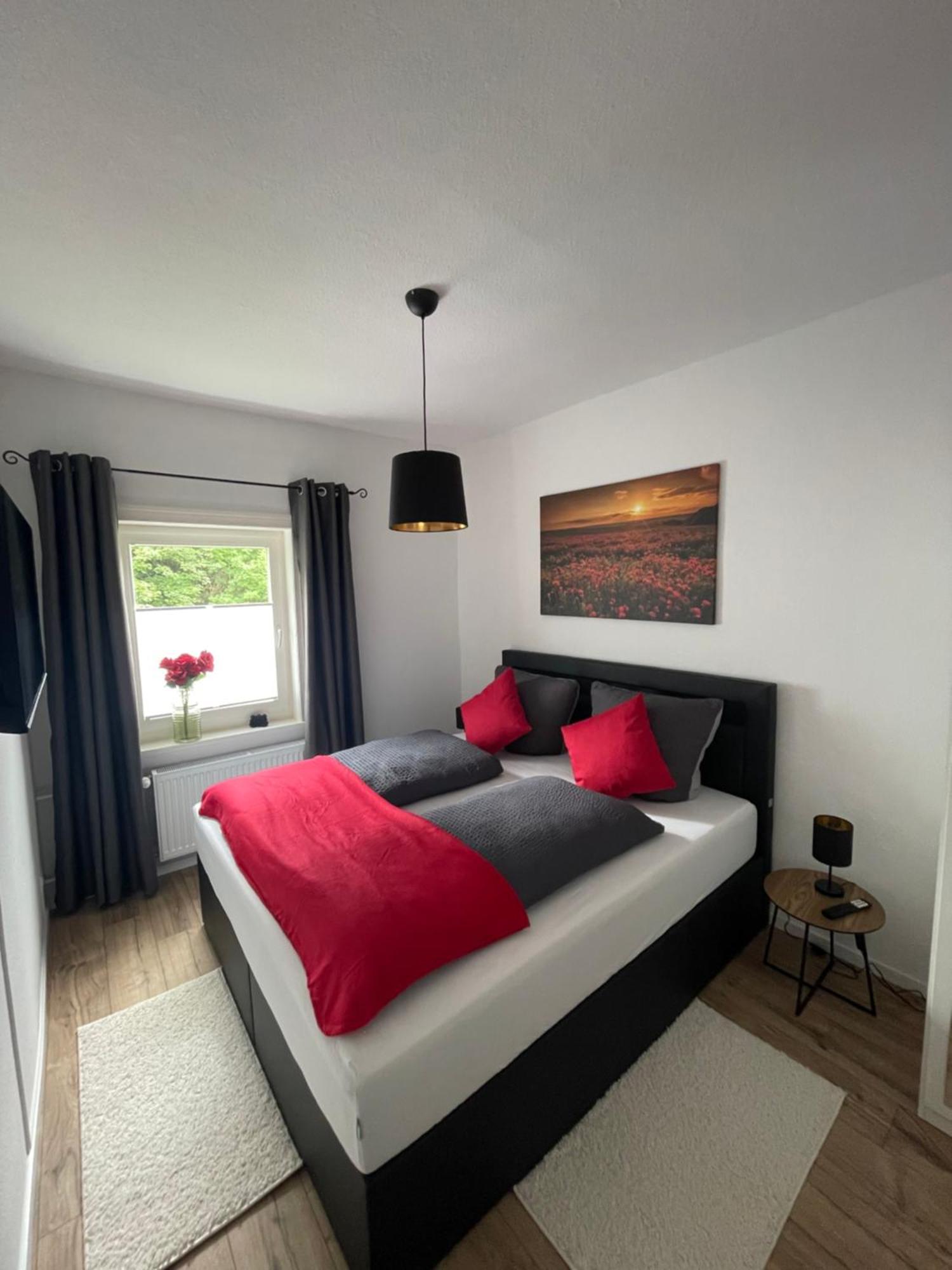 Bergstadt ,modern, Stylisch, Geraeumig Appartement Lautenthal